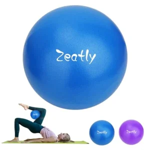 9 Inch Exercise Ball for Pilates, Yoga, and Core Training, with Pump!